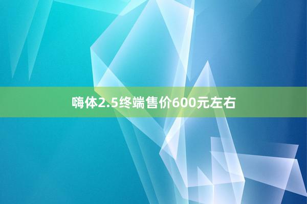 嗨体2.5终端售价600元左右