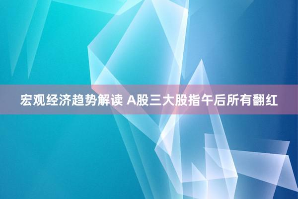 宏观经济趋势解读 A股三大股指午后所有翻红