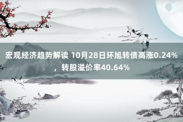 宏观经济趋势解读 10月28日环旭转债高涨0.24%，转股溢价率40.64%