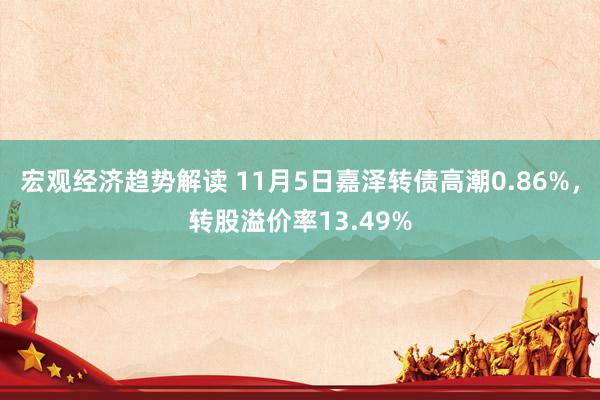 宏观经济趋势解读 11月5日嘉泽转债高潮0.86%，转股溢价率13.49%