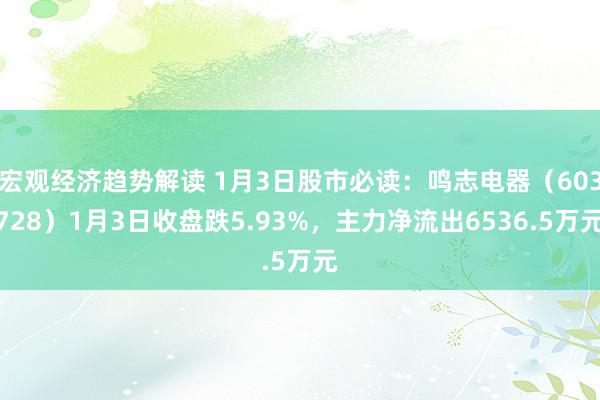 宏观经济趋势解读 1月3日股市必读：鸣志电器（603728）1月3日收盘跌5.93%，主力净流出6536.5万元