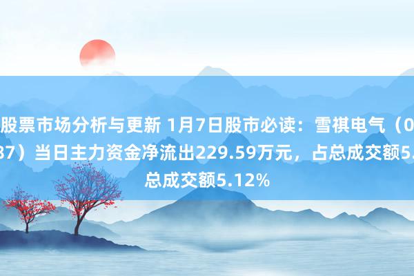 股票市场分析与更新 1月7日股市必读：雪祺电气（001387）当日主力资金净流出229.59万元，占总成交额5.12%