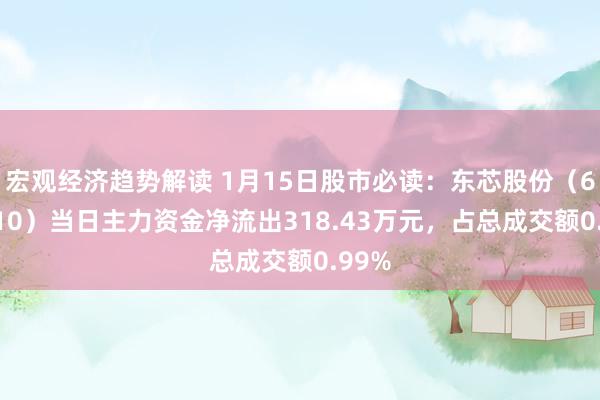 宏观经济趋势解读 1月15日股市必读：东芯股份（688110）当日主力资金净流出318.43万元，占总成交额0.99%