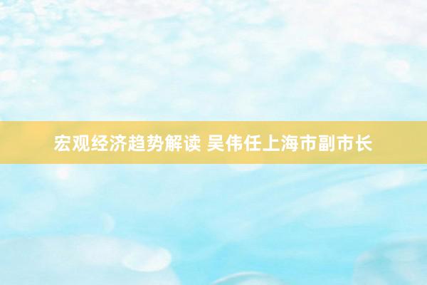 宏观经济趋势解读 吴伟任上海市副市长