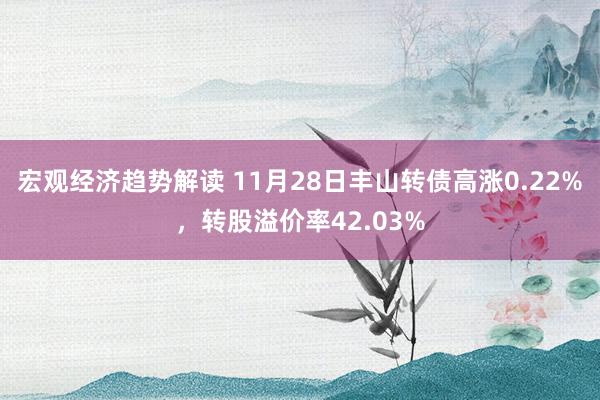 宏观经济趋势解读 11月28日丰山转债高涨0.22%，转股溢价率42.03%