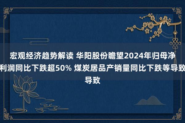 宏观经济趋势解读 华阳股份瞻望2024年归母净利润同比下跌超50% 煤炭居品产销量同比下跌等导致