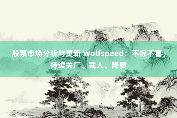 股票市场分析与更新 Wolfspeed：不惊不喜，持续关厂、裁人、降费