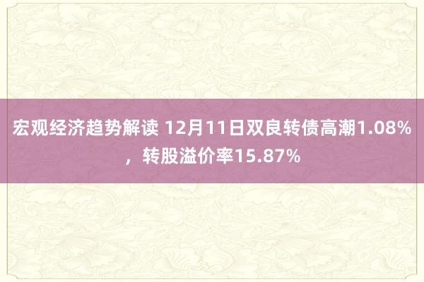 宏观经济趋势解读 12月11日双良转债高潮1.08%，转股溢价率15.87%