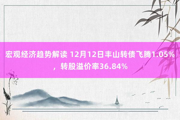 宏观经济趋势解读 12月12日丰山转债飞腾1.05%，转股溢价率36.84%