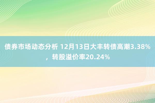 债券市场动态分析 12月13日大丰转债高潮3.38%，转股溢价率20.24%