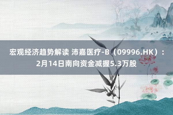 宏观经济趋势解读 沛嘉医疗-B（09996.HK）：2月14日南向资金减握5.3万股