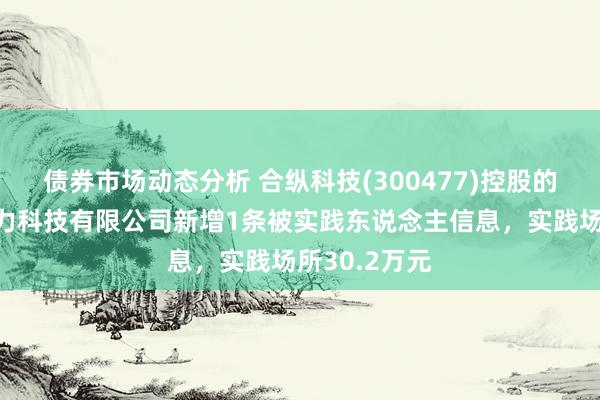 债券市场动态分析 合纵科技(300477)控股的天津新能电力科技有限公司新增1条被实践东说念主信息，实践场所30.2万元