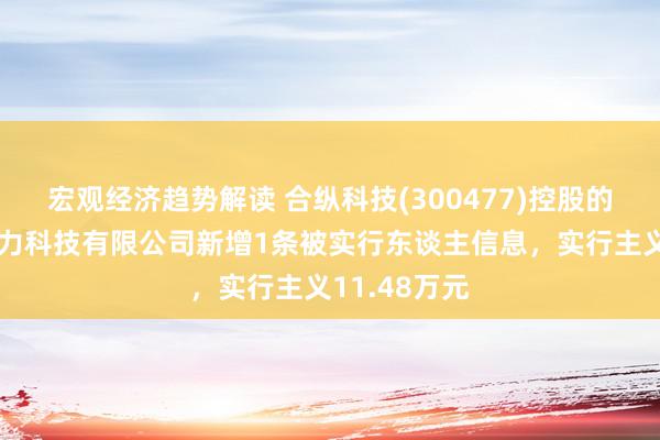 宏观经济趋势解读 合纵科技(300477)控股的天津新能电力科技有限公司新增1条被实行东谈主信息，实行主义11.48万元