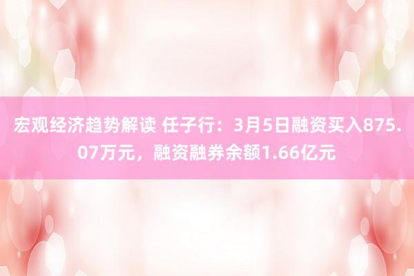 宏观经济趋势解读 任子行：3月5日融资买入875.07万元，融资融券余额1.66亿元