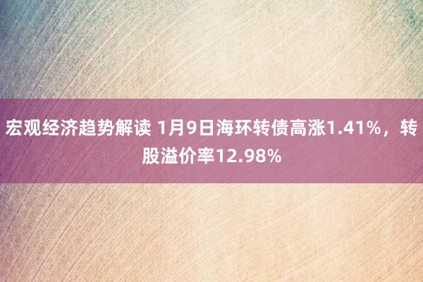 宏观经济趋势解读 1月9日海环转债高涨1.41%，转股溢价率12.98%